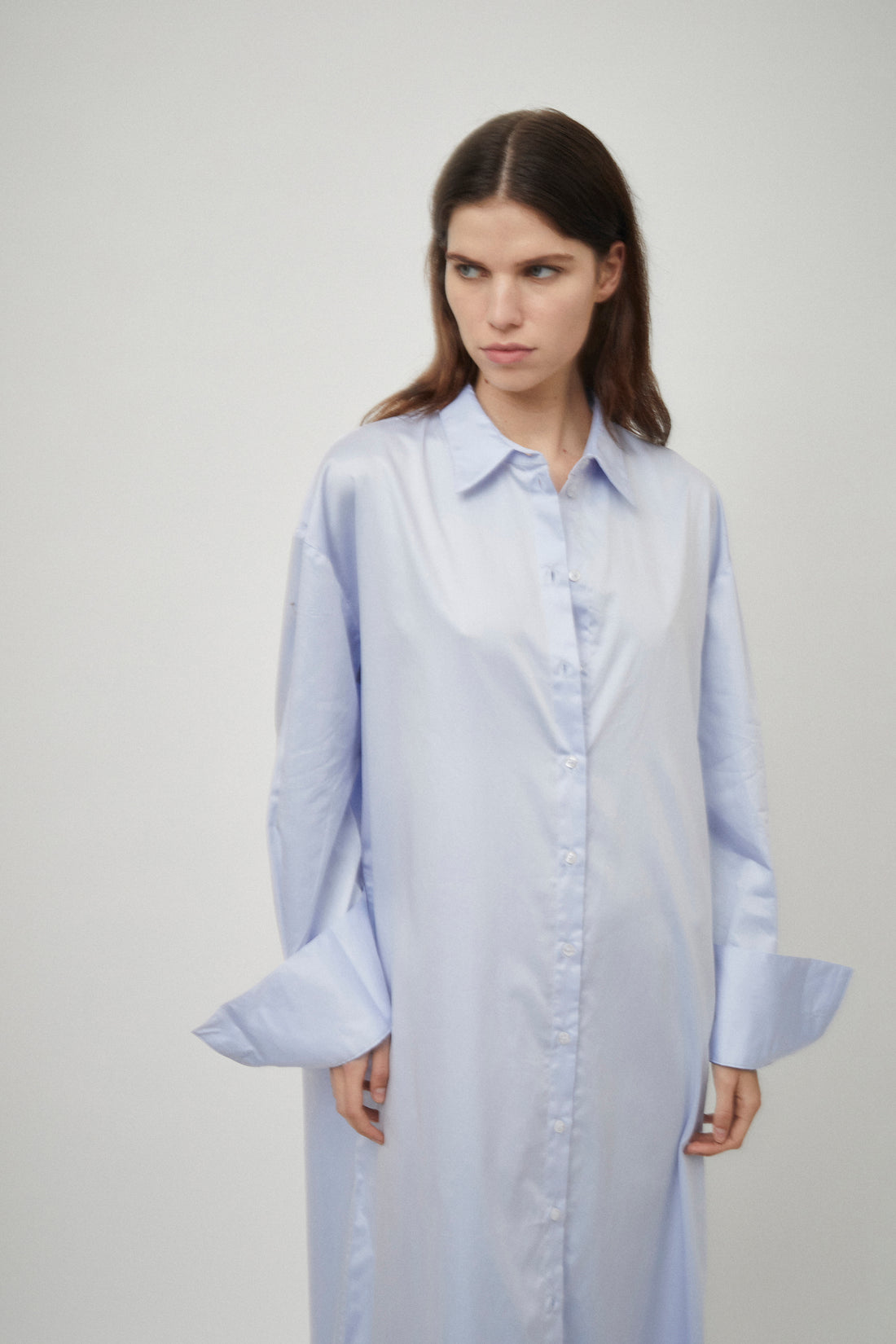 Classic Elongated Shirt Dress