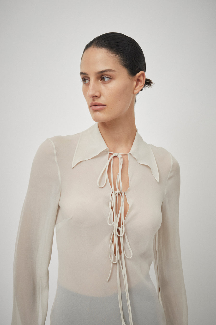 Silk Georgette Tie Blouse Dress